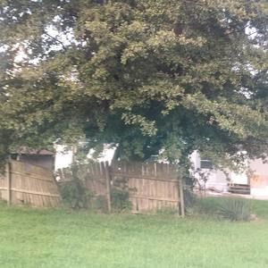 Meet your Posher, Elena